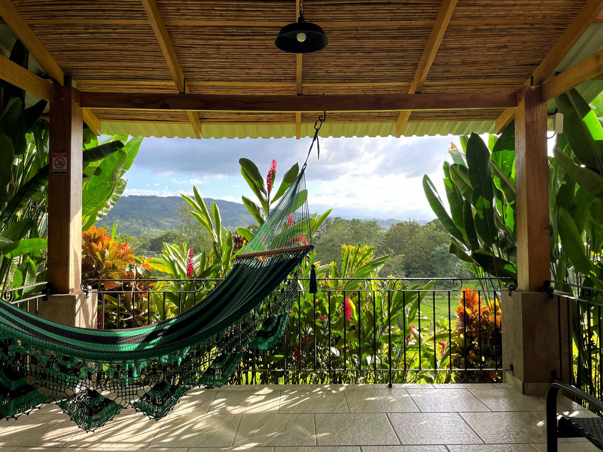 hammock by the garden