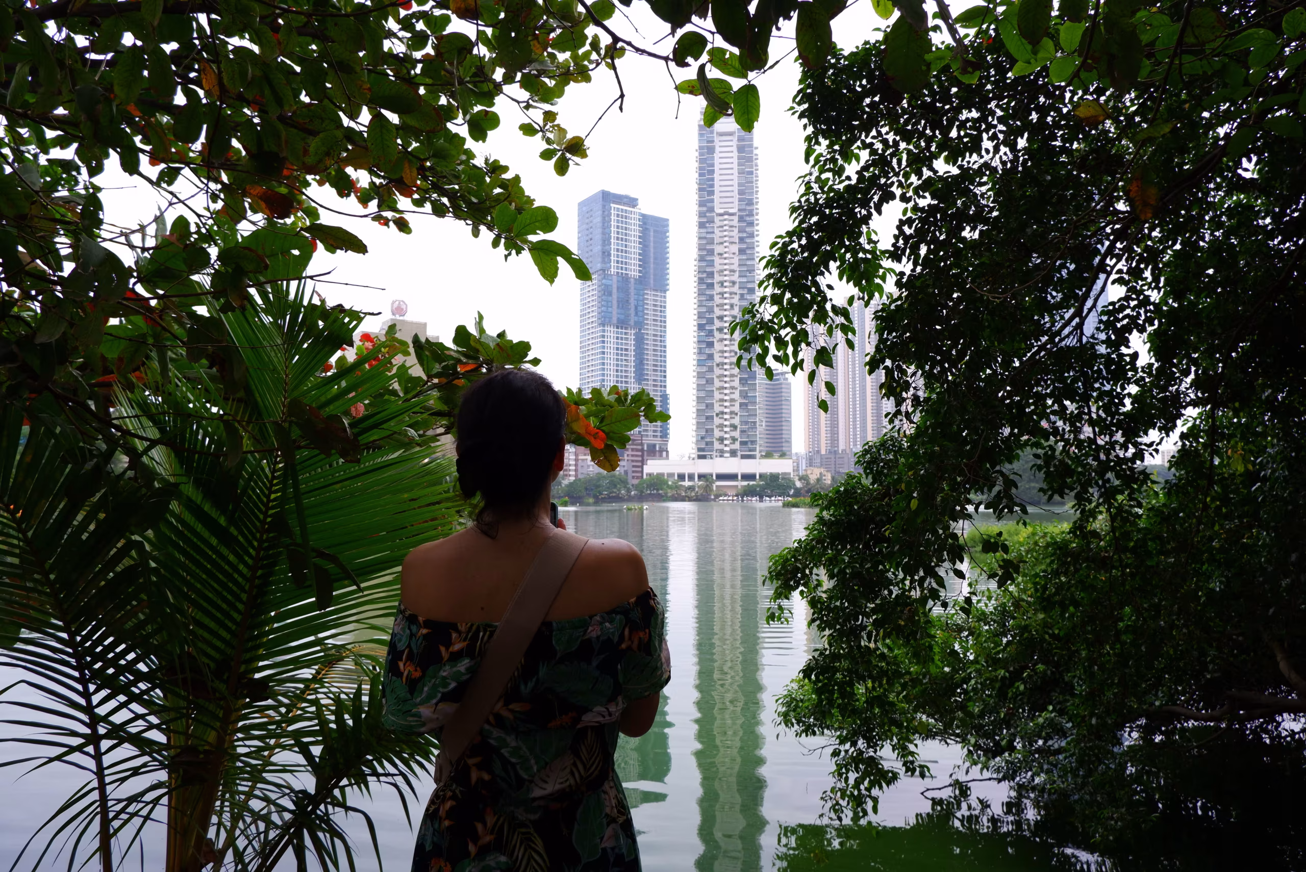 milla looking at Colombo skylight
